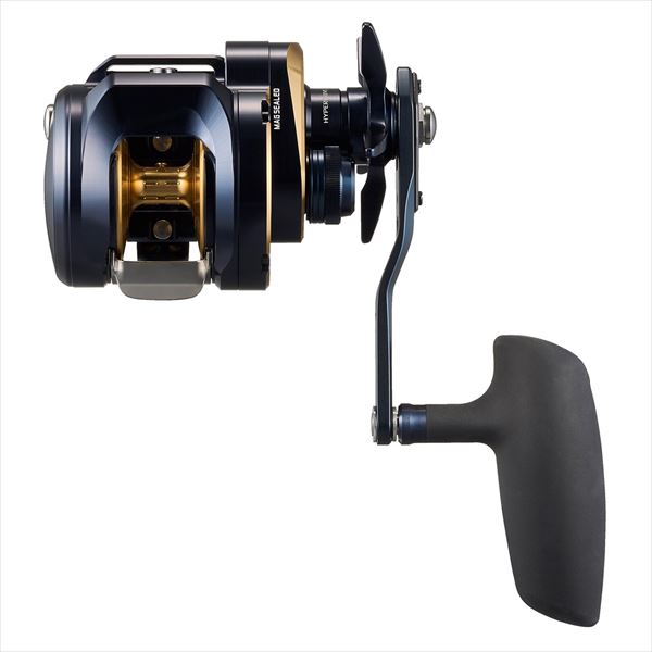 DAIWA 2025 SALTIGA 300 (Right Handle)
