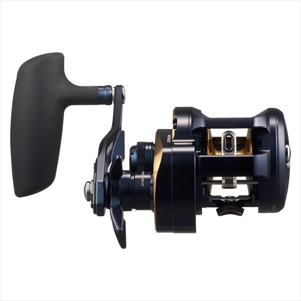 DAIWA 2025 SALTIGA 300 (Right Handle)
