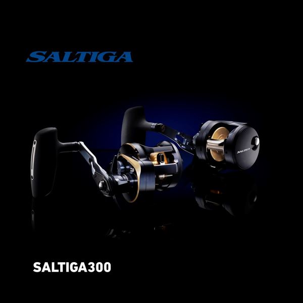 DAIWA 2025 SALTIGA 300 (Right Handle)