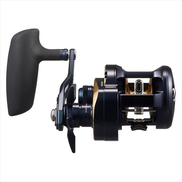DAIWA 2025 SALTIGA 300H (Right Handle)
