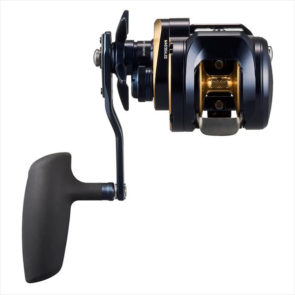 DAIWA 2025 SALTIGA 300HL (Left Handle)