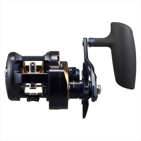 DAIWA 2025 SALTIGA 300HL (Left Handle)