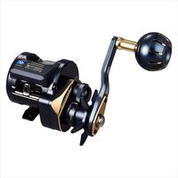 DAIWA 2025 SALTIGA IC 100HL-C conventional reel product image