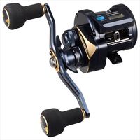 DAIWA 2025 SALTIGA IC 100P-DH-C conventional reel product image