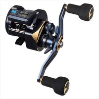 DAIWA 2025 SALTIGA IC 100PL-DH-C conventional reel product image
