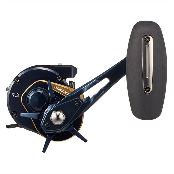 DAIWA 2025 SALTIGA IC 300H-SJ-C (Right Handle)