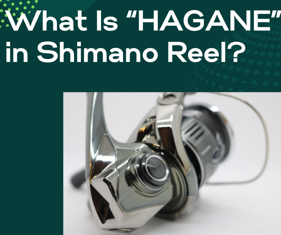 shimano reel HAGANE Gear