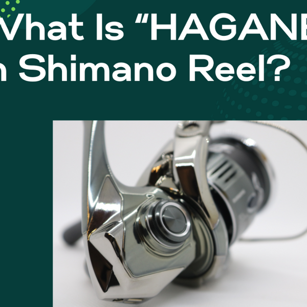 best shimano trolling reel Shimano Speedmaster II Trolling Reel