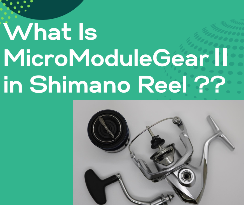Understanding Shimano's MicroModule Gear II: A Comprehensive Guide