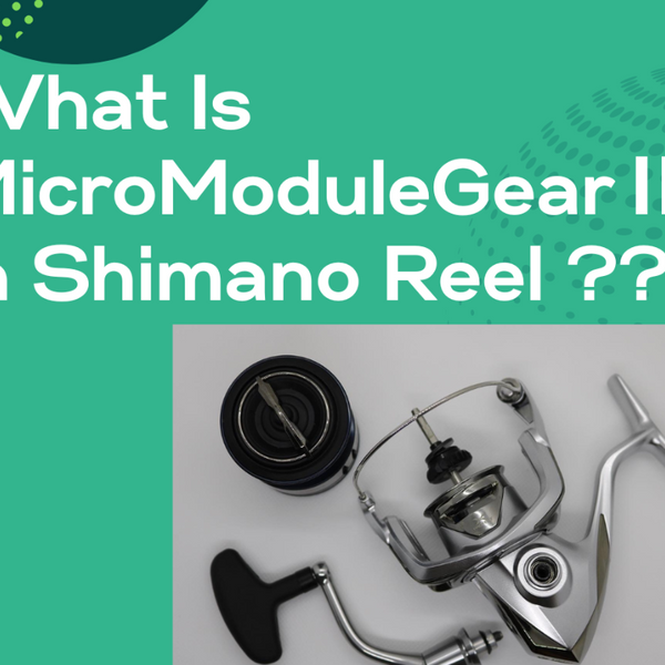 micromodule_gear_2_600x600_cro