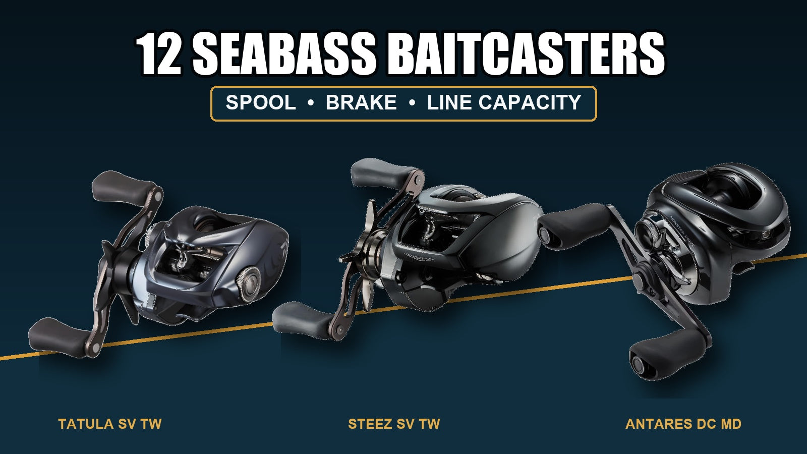 Twelve baitcasting reels for seabass spool and brake guide