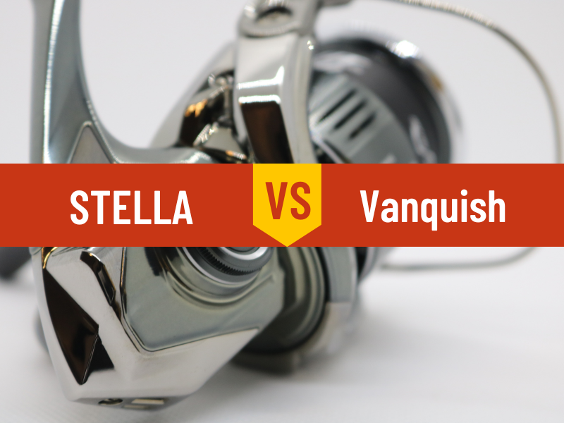 Shimano STELLA vs Vanquish Full Comparison