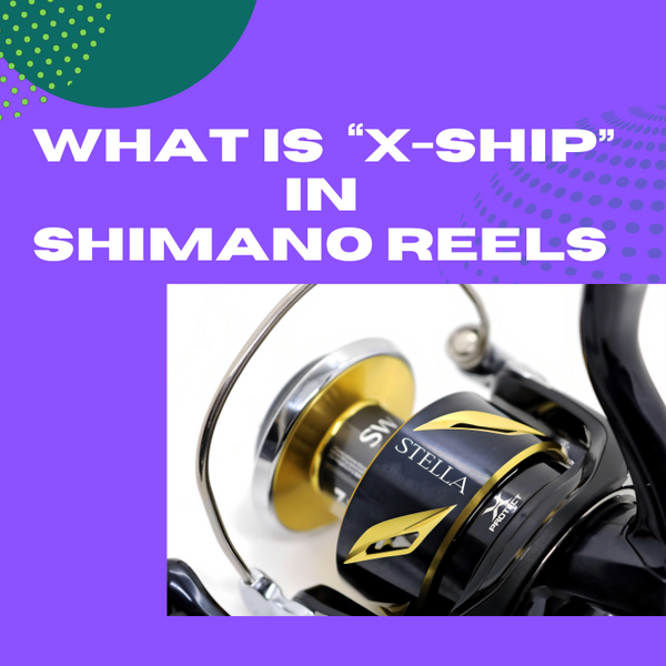 did shimano make an alpha reel Piscisea 70 As more and more newcomers discover the joy of fishing Shimano vs Daiwa Reels: A