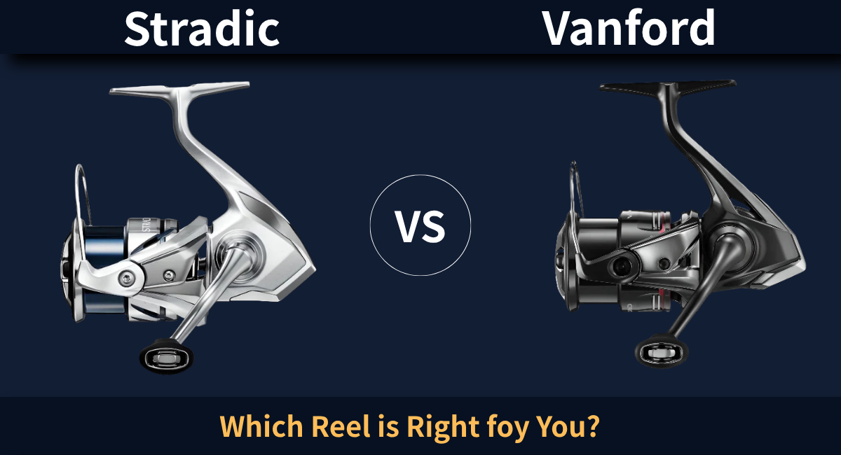 Shimano Stradic vs Vanford: Which Spinning Reel Is Right for You?