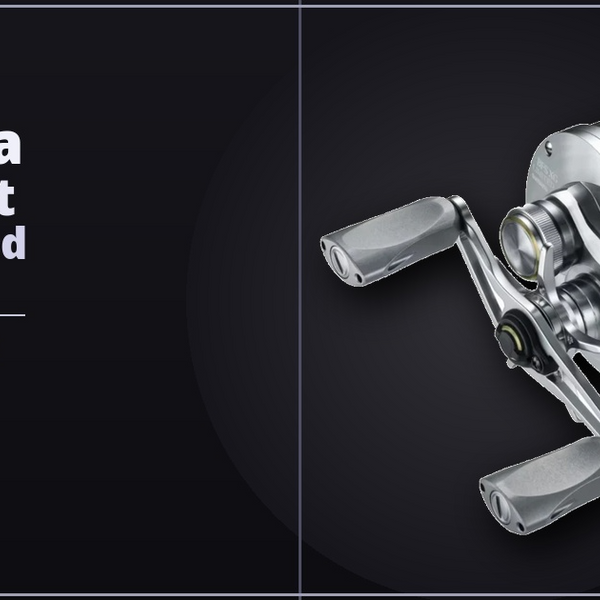 Shimano 26 Calcutta Conquest BFS Limited: Specs & Features