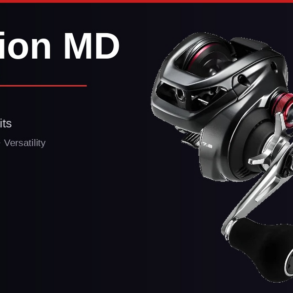 Shimano Scorpion MD 300XGLH Review: Best Reel for Big Baits Fishing