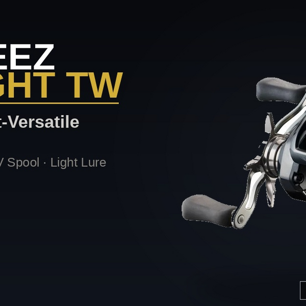 DAIWA 26 STEEZ SV LIGHT TW: Ultimate Light-Versatile Baitcaster