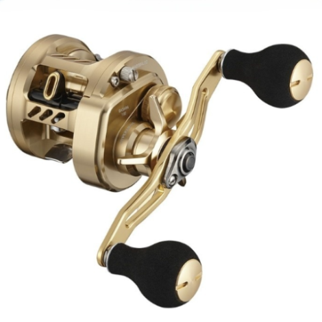 DAIWA 2021 BASARA 100L conventional reel product image