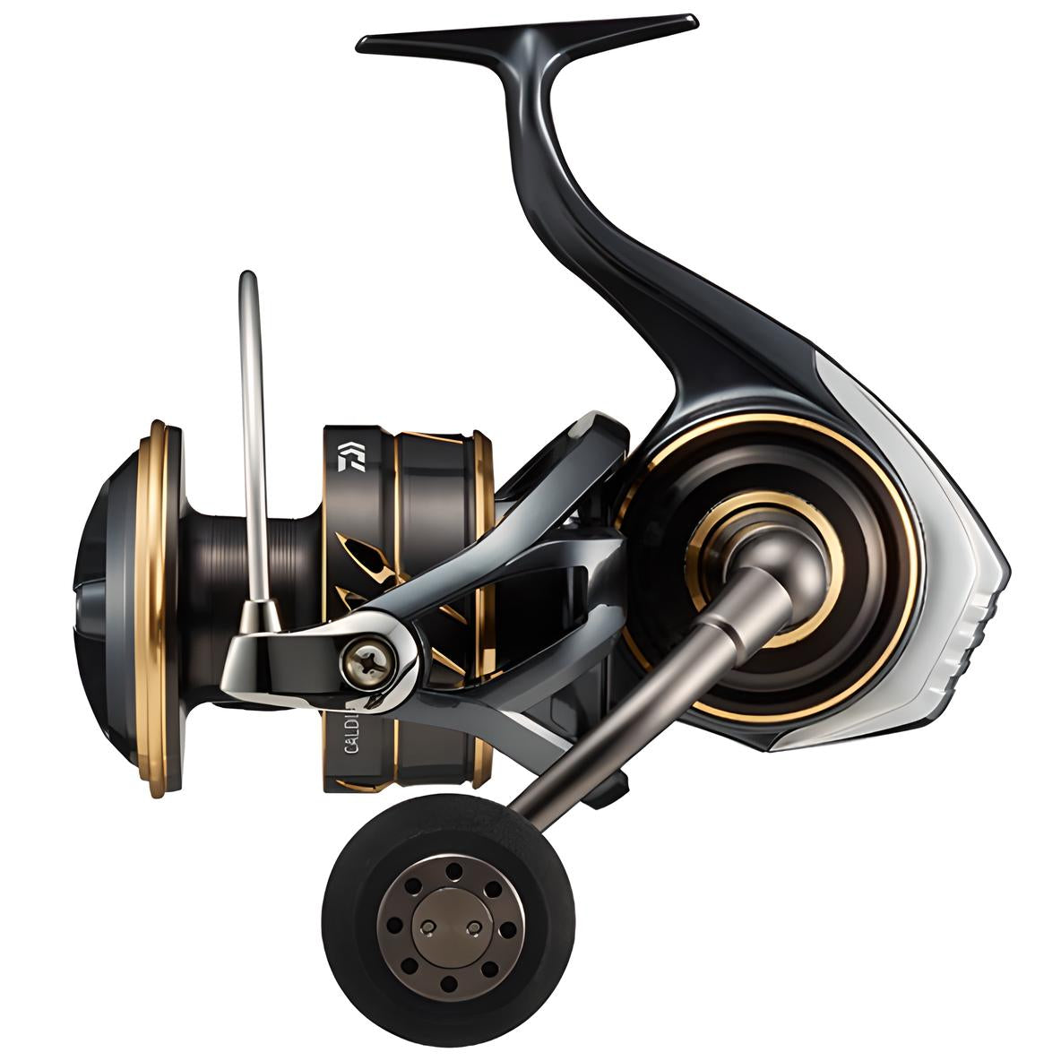 daiwa 2022 caldia sw 18000