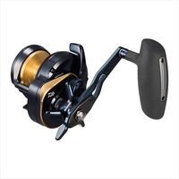 DAIWA 2025 SALTIGA 10L conventional reel product image