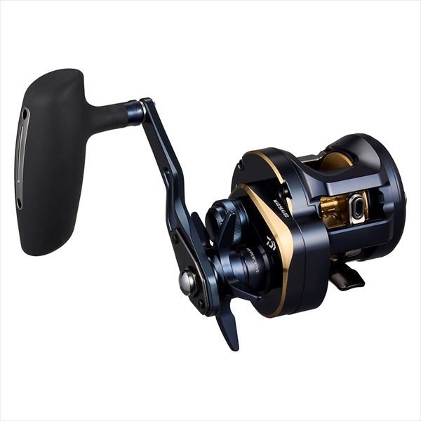 DAIWA 2025 SALTIGA 300 (Right Handle)