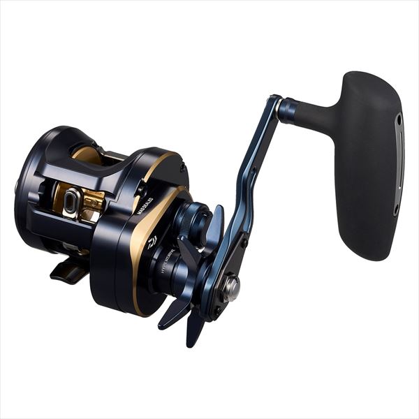 DAIWA 2025 SALTIGA 300HL (Left Handle)