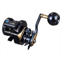 DAIWA 2025 SALTIGA IC 100L-C conventional reel product image