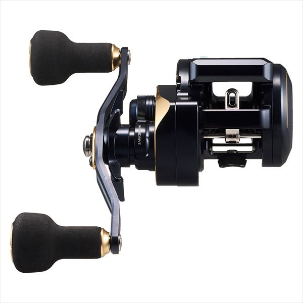 DAIWA 2025 SALTIGA IC 100P-DH-C (Right Handle)