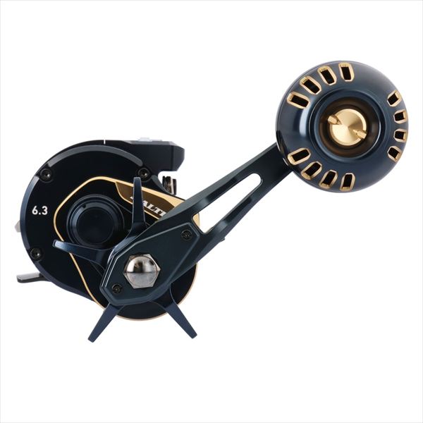DAIWA 2025 SALTIGA IC 300-C (Right Handle)