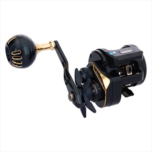 DAIWA 2025 SALTIGA 300