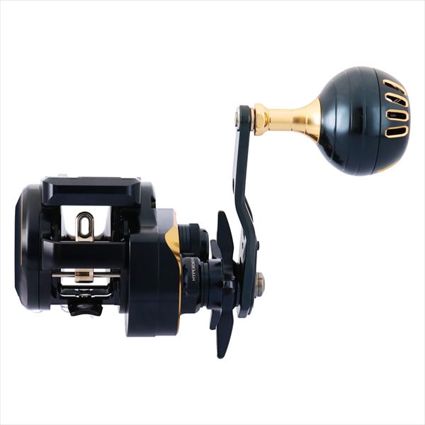 DAIWA 2025 SALTIGA IC 300L-C (Left Handle)