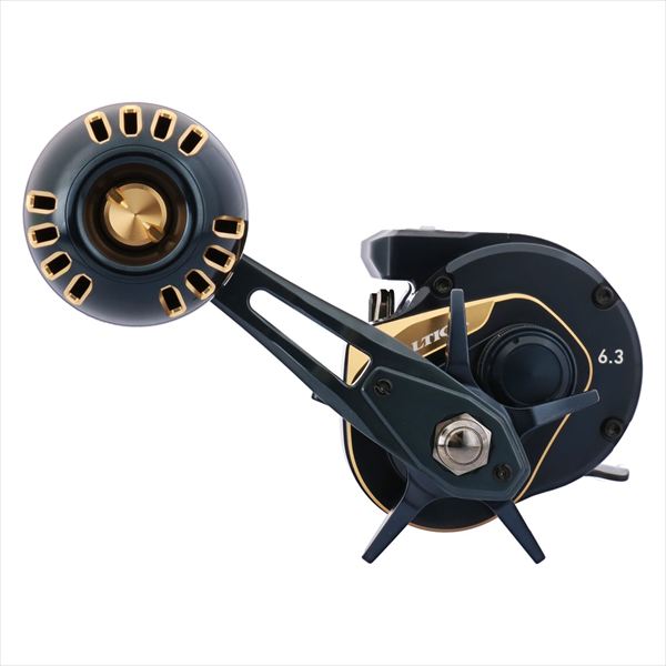 DAIWA 2025 SALTIGA IC 300L-C (Left Handle)