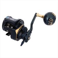 DAIWA 2025 SALTIGA IC 300L-C conventional reel product image