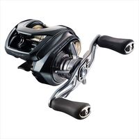 DAIWA 2026 STEEZ SV LIGHT TW 100XXHL baitcasting reel product image