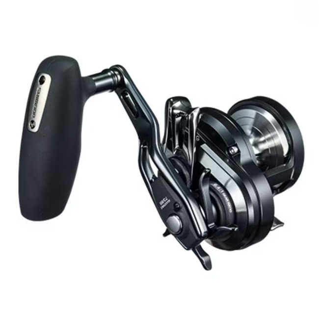 Shimano 2019 OCEA JIGGER F Custom Shimano 2019 OCEA JIGGER F Custom