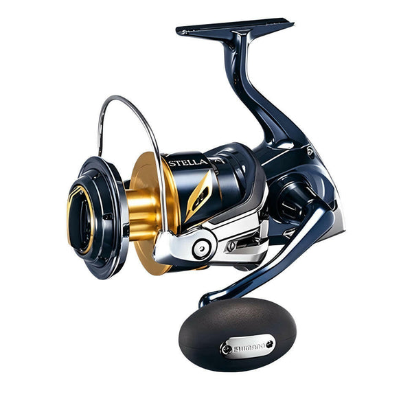 ステラSW 10000PG　(2019) Shimano 2019 STELLA SW 10000PG