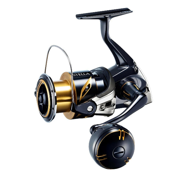 Shimano 2020 STELLA SW 4000HG spinning reel product image