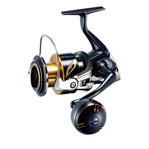 Shimano 2020 STELLA SW 6000HG spinning reel product image