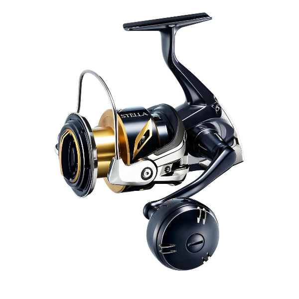 Shimano 2020 STELLA SW 6000PG spinning reel product image
